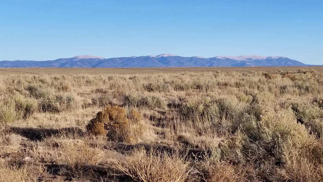 Designated RV and Camping Lots near the Rio Grande in Southern Colorado.
