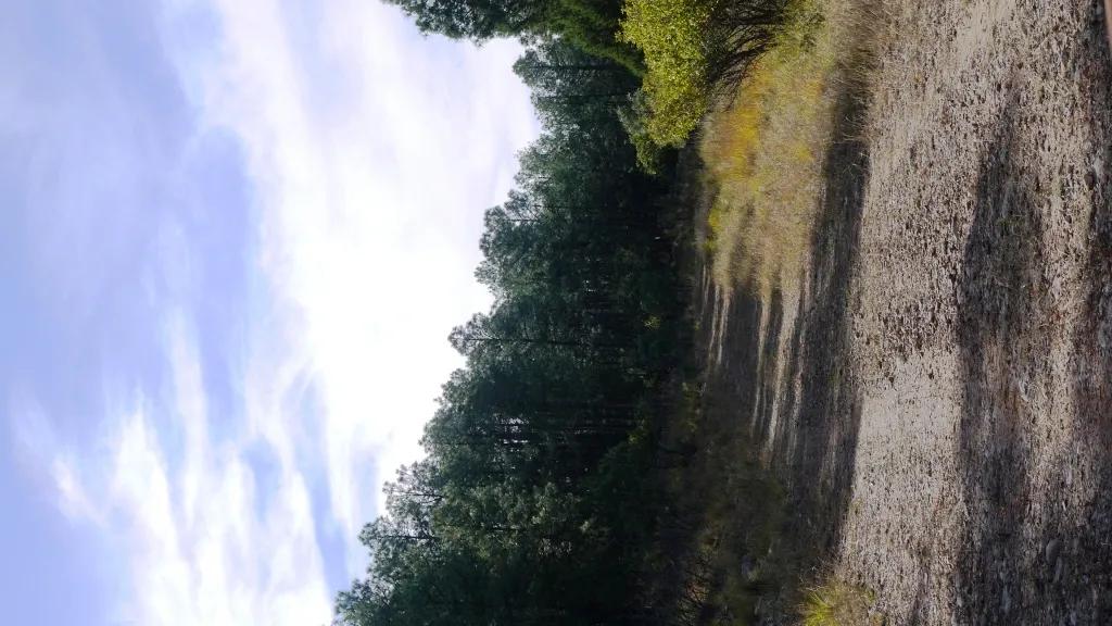74346318-8