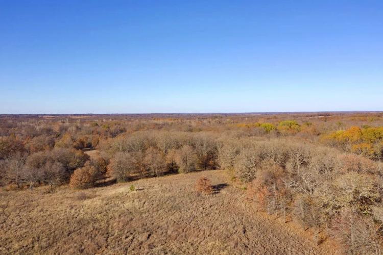 Great 20-Acre Tract