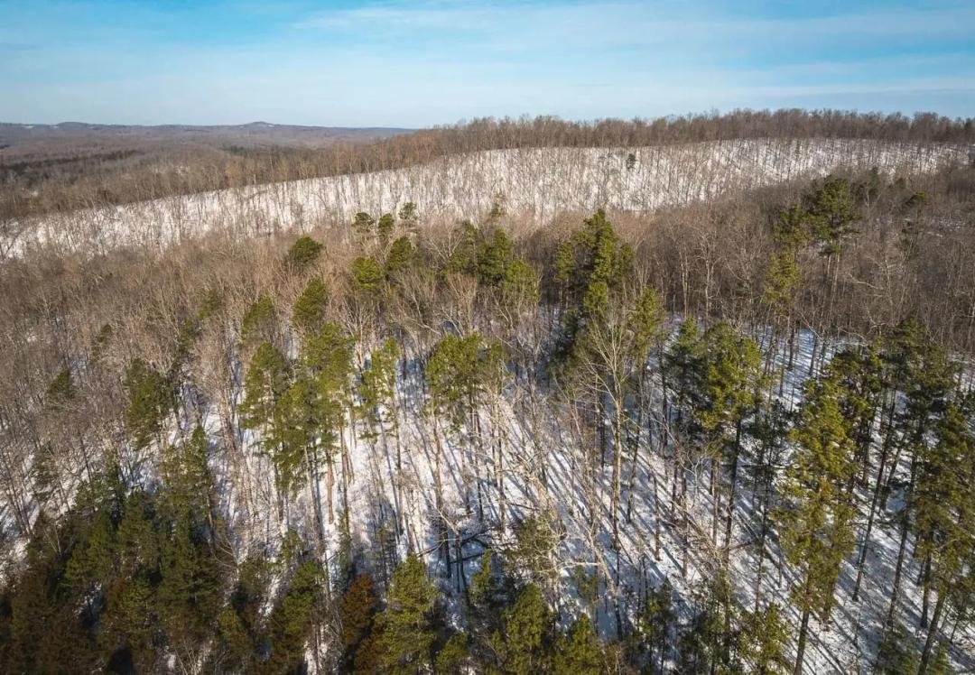 35 Acres Bucks in Black Mo