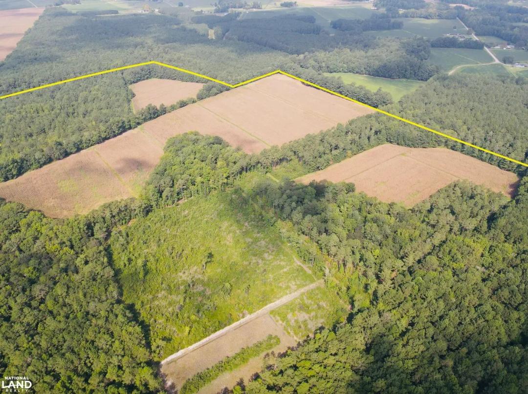 Fresh Branch Farm, Timber, and Recreational Tract
