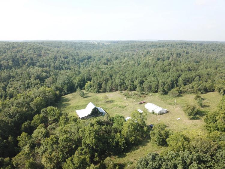 Bean Creek 20