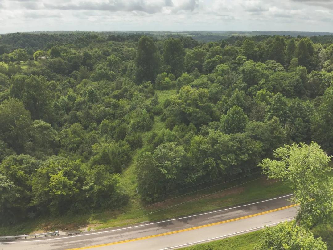 37 Acres in Lincoln County, TN 