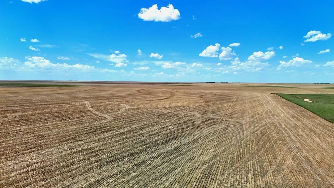 County Line Cropland Parcel with Good Soils