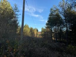 Erin Marsh Rd Lot 4 3