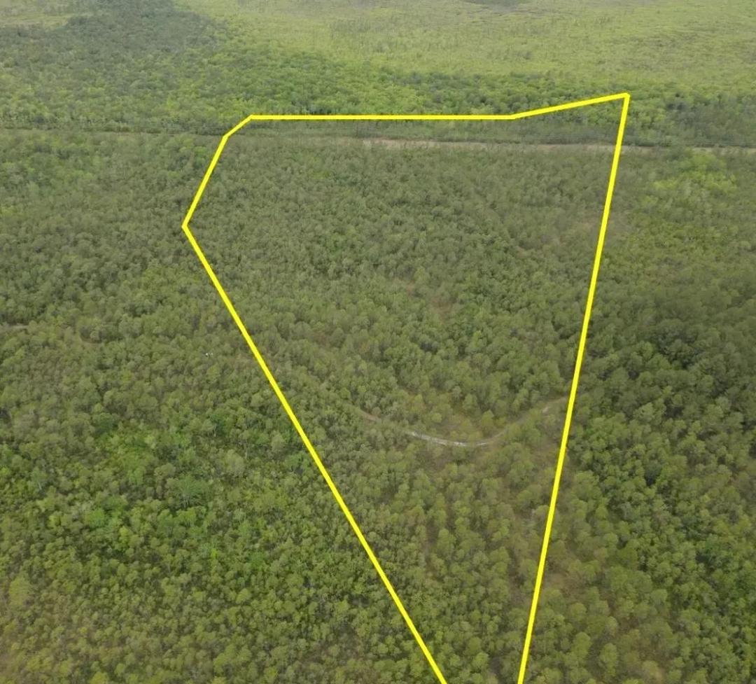 BuckShot Property