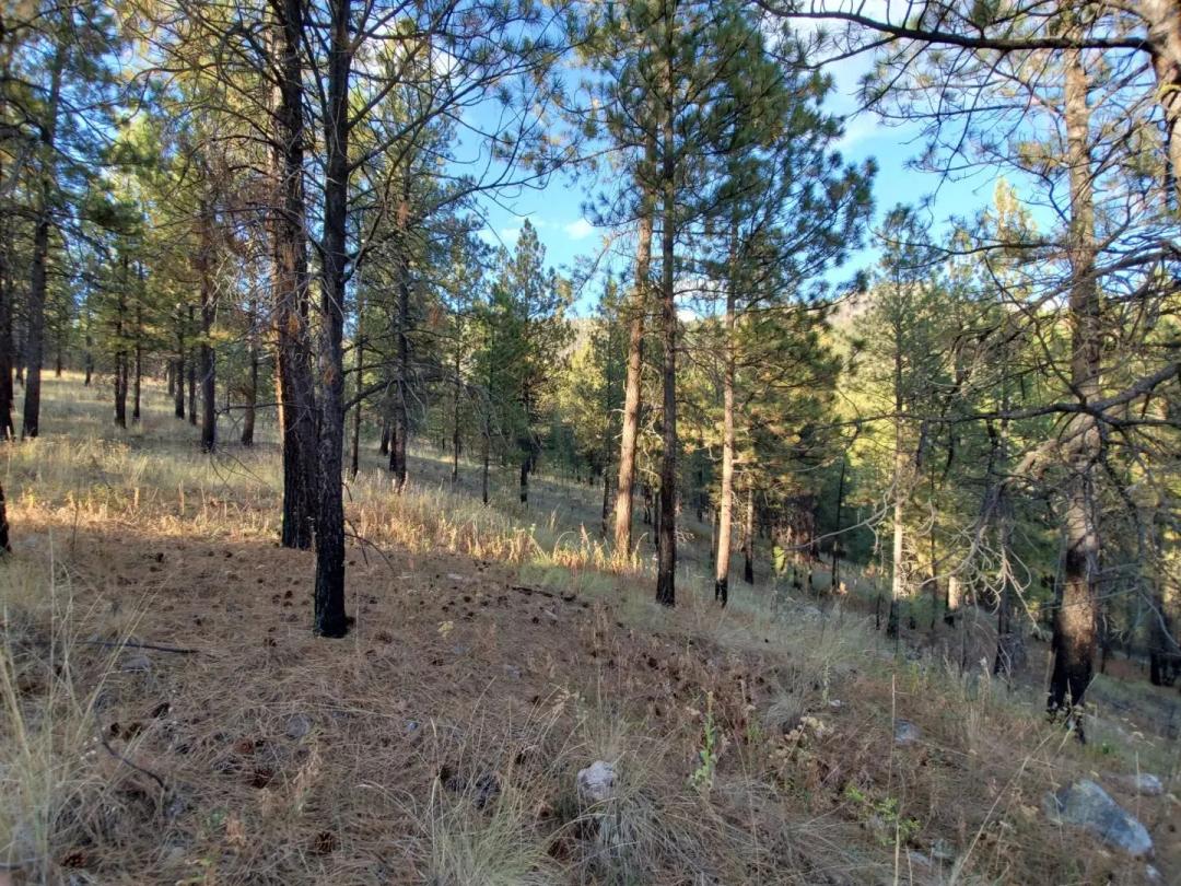 9.72 Acres in Riverside, WA
