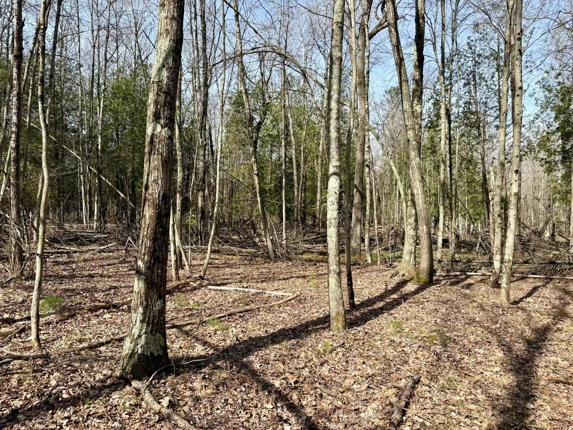 74546847-13
