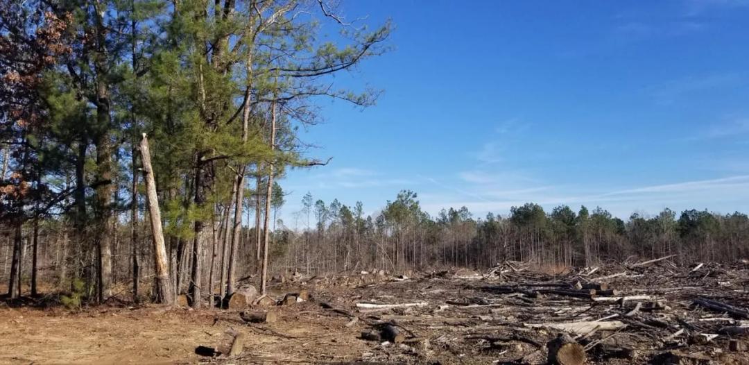 Highway 127 Tract B, LaSalle Parish, 64.15 Acres +/-