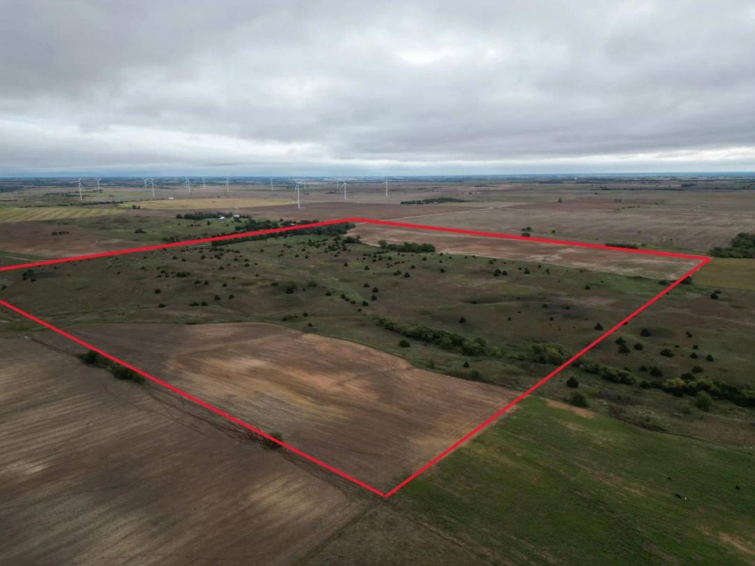 160 Acres M/L Productive Farmland/Recreational Possibilities
