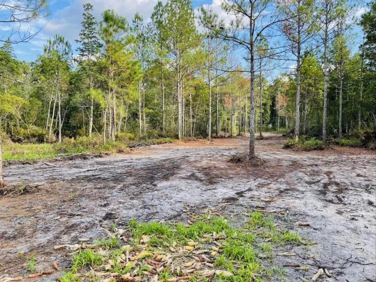 244.50 Acres at  HWY 701