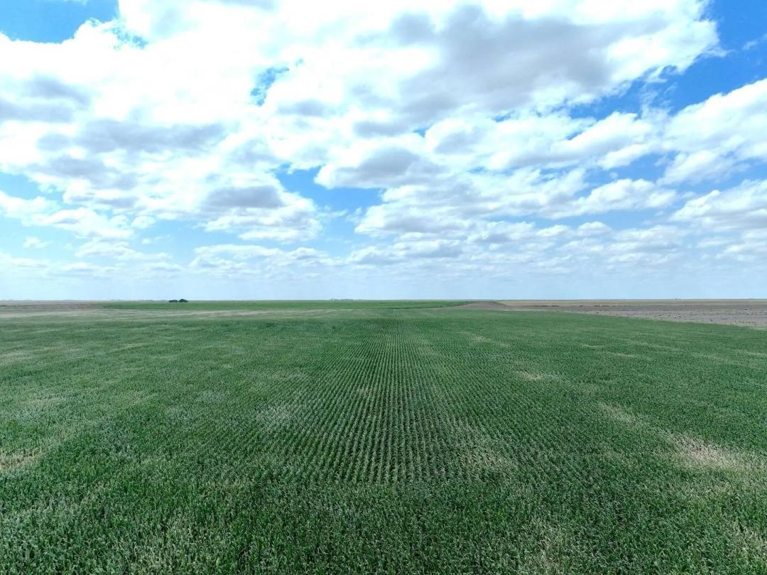 160± ACRES CROPLAND - SHERMAN COUNTY, KS