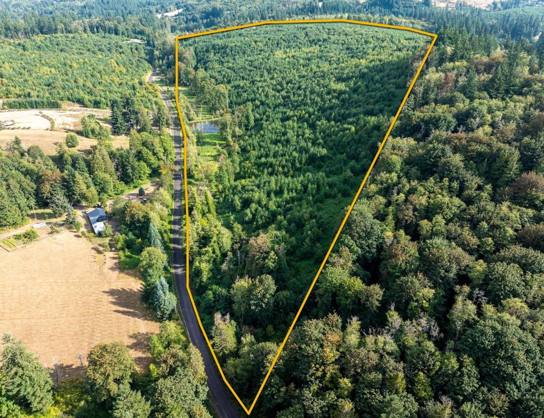Forest Retreat near Portland, OR