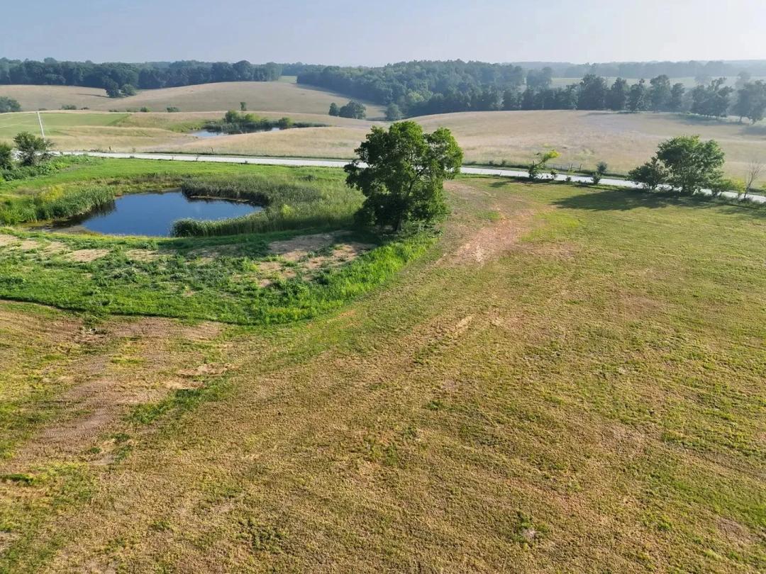 20 Surveyed Acres with Pond and Potential Build Sites – Clark County