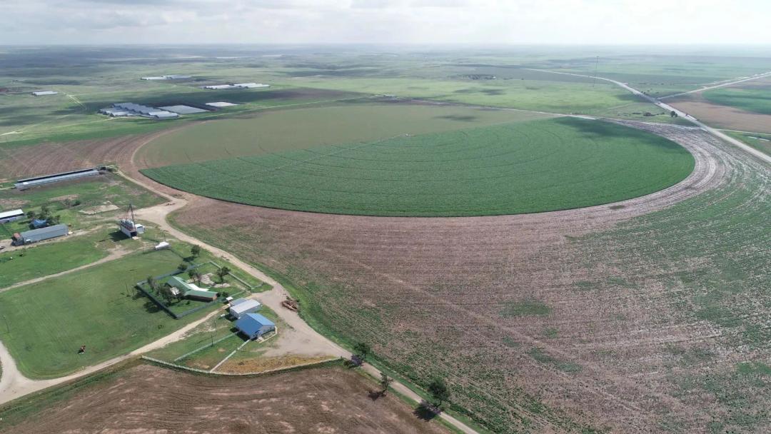 1550 +/- acres with Commercial Agricultural Improvements