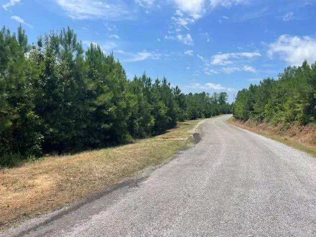 White Springs Tract 