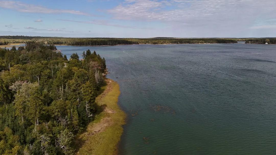 240 Feet of Maine Oceanfront