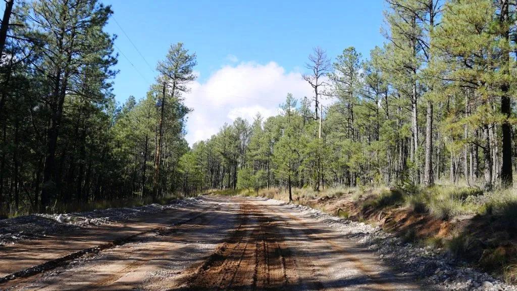Treed Parcel - Developing area in Timberon - Residential