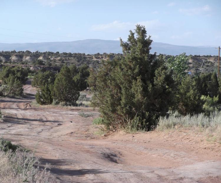 Cove Acres - 3 adjoining 1/2 acre parcels - 6 miles from Roosevelt