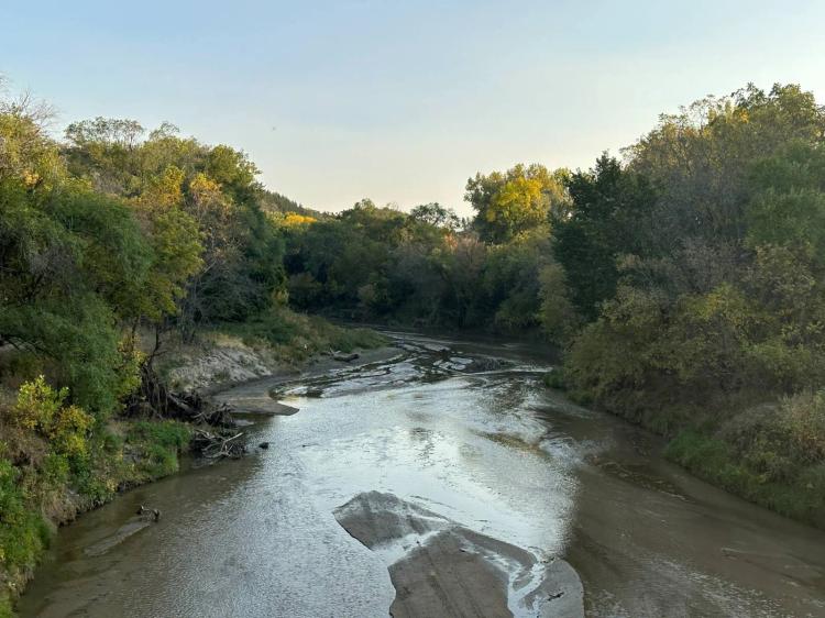 140.72 +/- acres of breathtaking views and abundant wildlife!