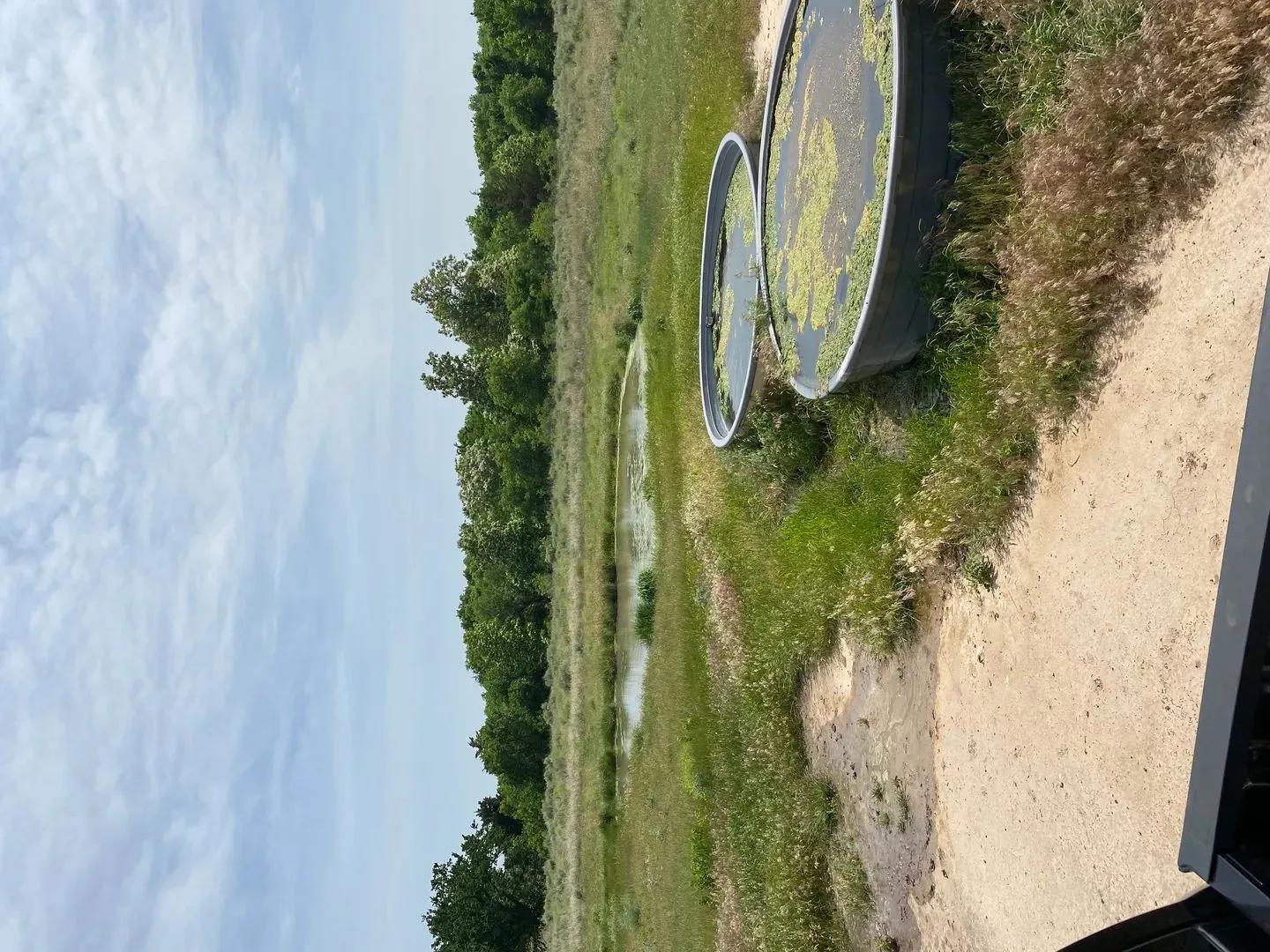 74777441-18