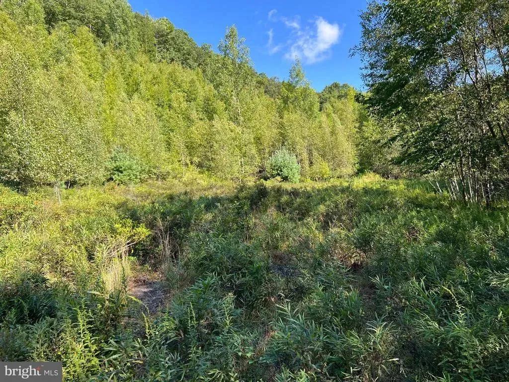 12.1 Acres of Land for Sale in EFFORT, PA
