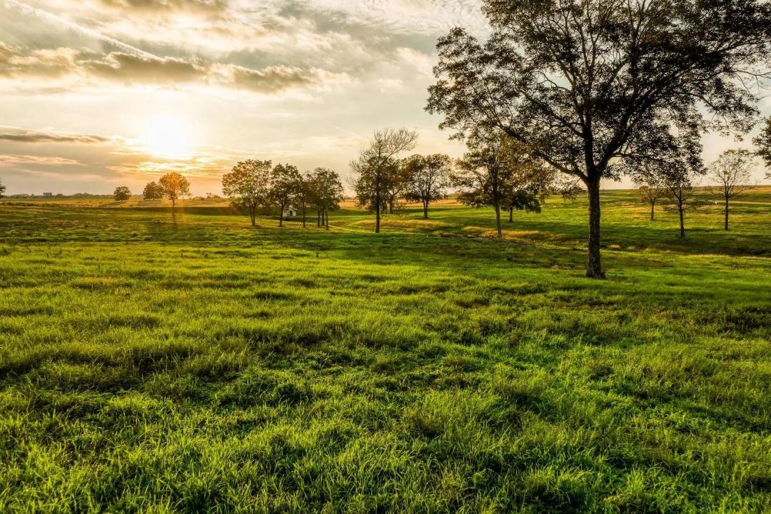 TBD, Sunshine Meadow Ct Lot 11, Chappell Hill, TX 77426