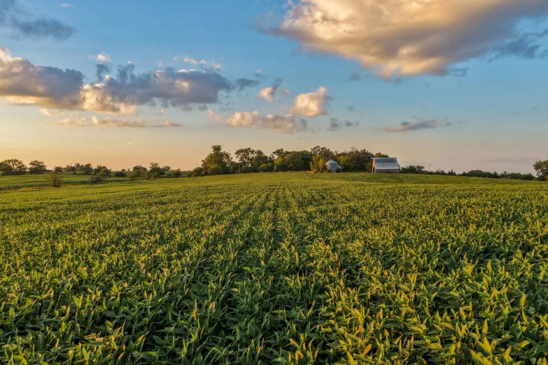 Listing #19707 - 135.94 acres in Adams County, IA