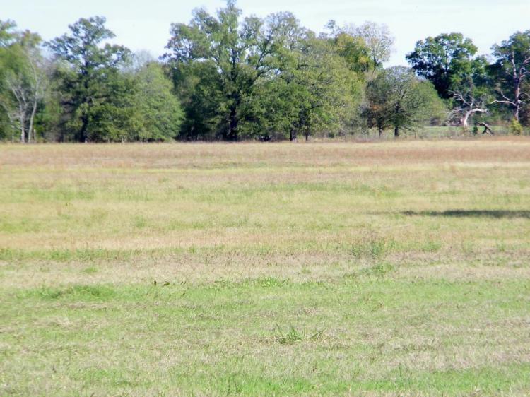 Idabel Ok 424 Acre Ranch w/ Hay Production