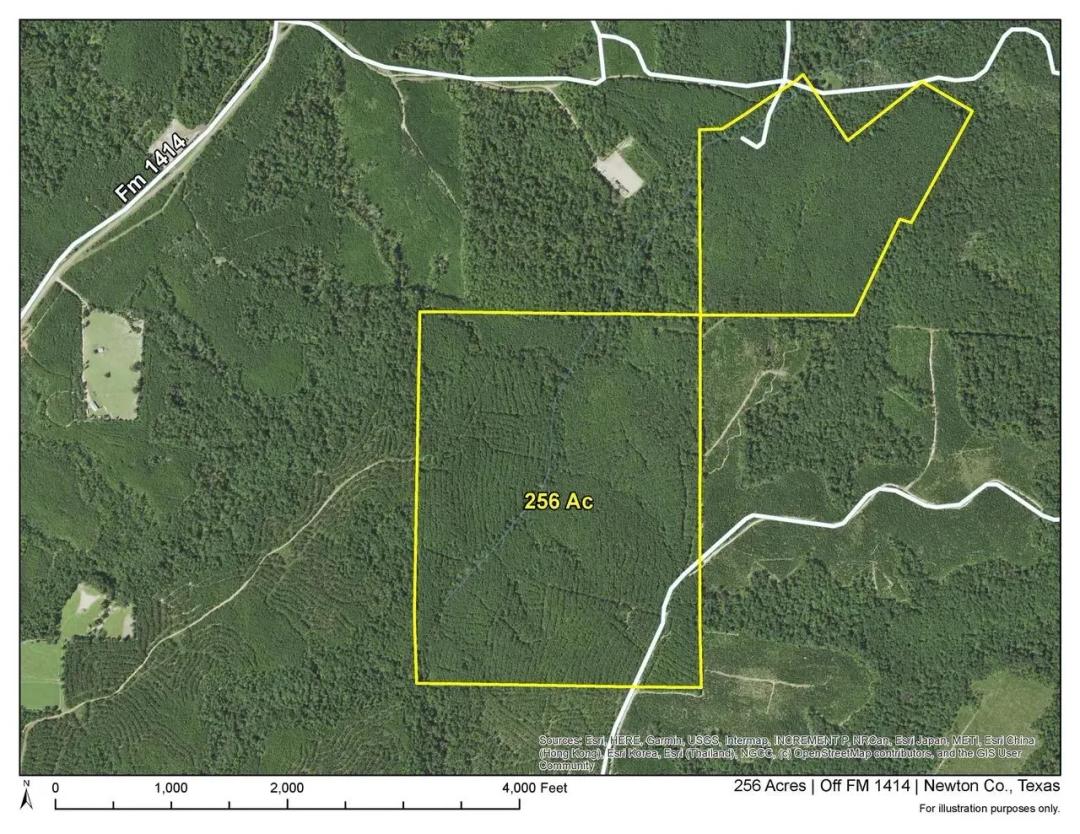 256 Acres | Off FM 1414 | 6909