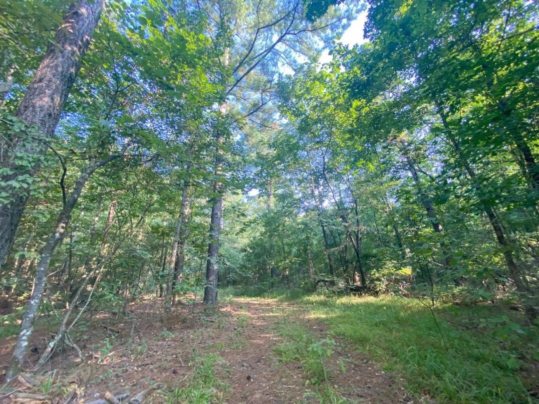 1.3 Acres + Expansion Potential in Eagle Mountain