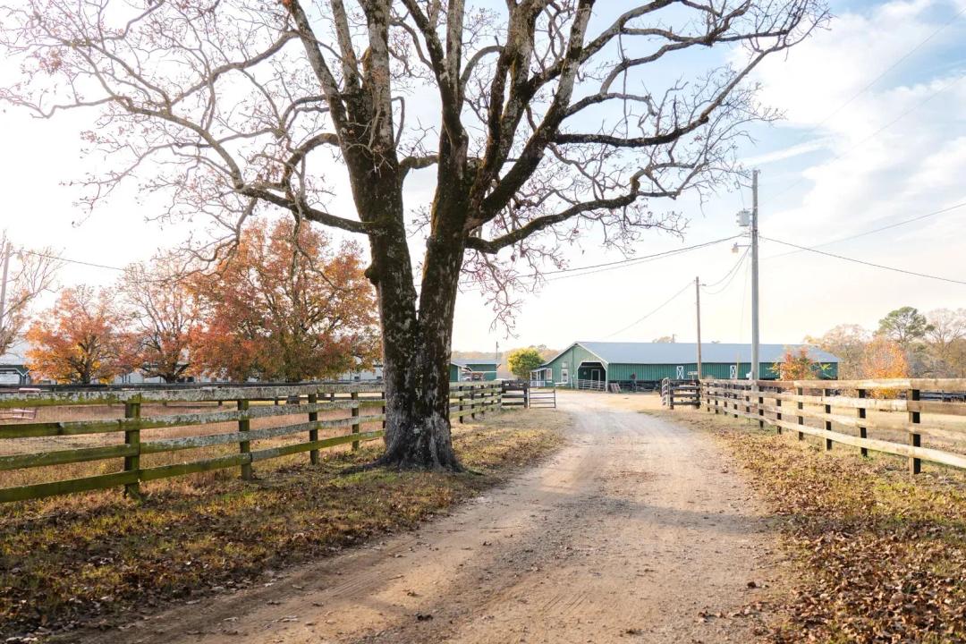 Wahachee Creek Farm