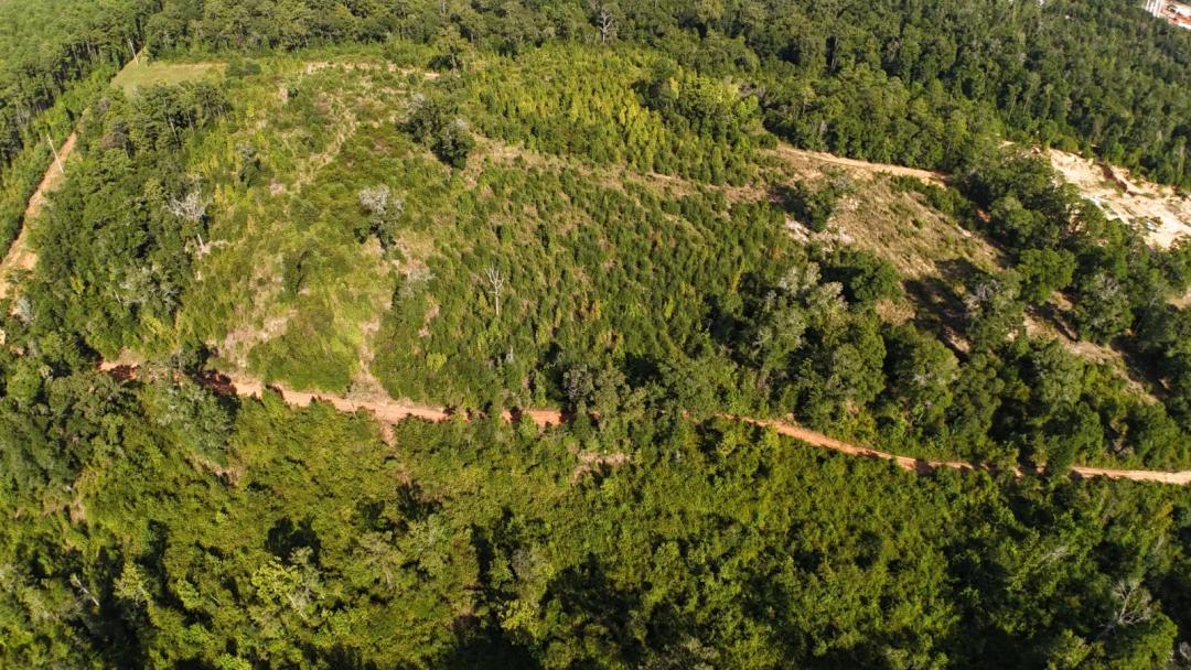 40.00 Acres at 00 00 Japonica Drive