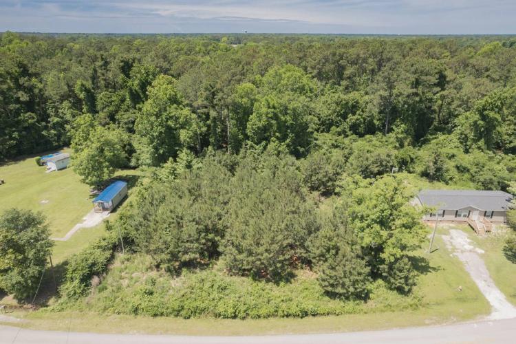 Large wooded lot