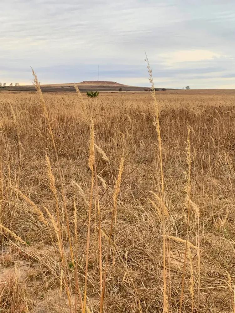 Wheeler Co. Sheep Ranch and House 565 Acres