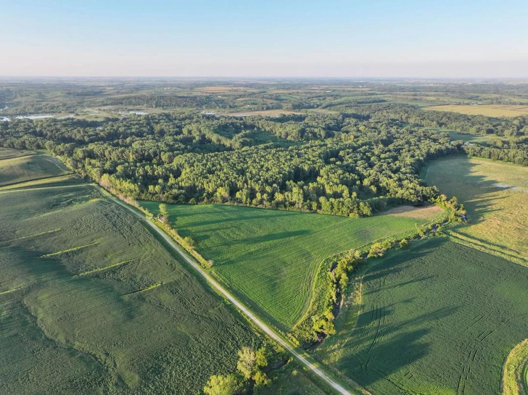 Listing #18553 - 175.07 acres in Keokuk County, IA
