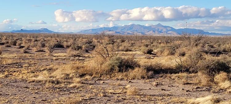 Sunny Southern New Mexico - 2 adjoining lots  1 acre - Camp RV Build