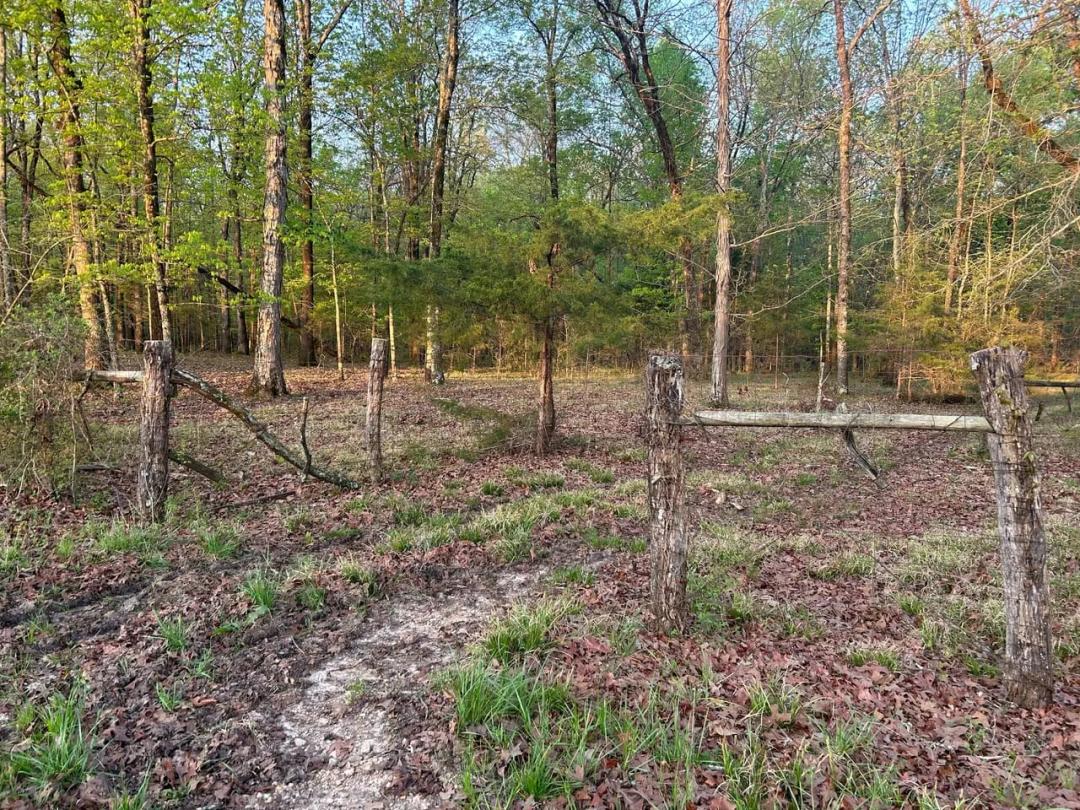 Black Prairie Hardwoods 20