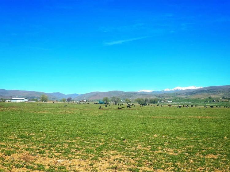 Richland Farm