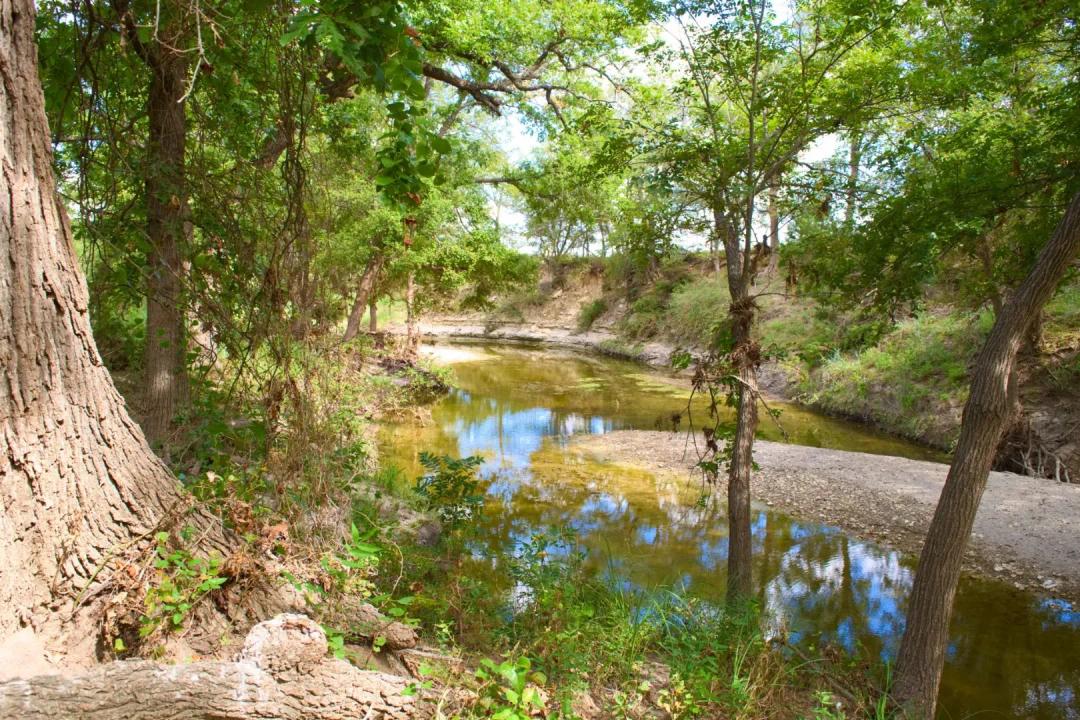 Hamilton County Cattle Ranch For Sale 