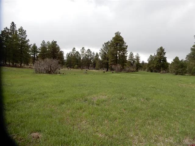 139 Coronado Cir (803519)