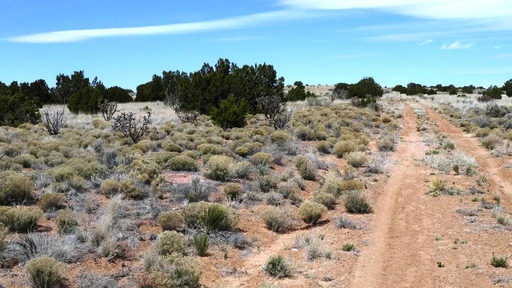 2 adjoining lots in Rio Ranchos