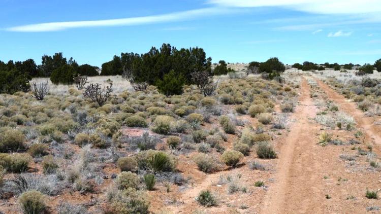 2 adjoining lots in Rio Ranchos
