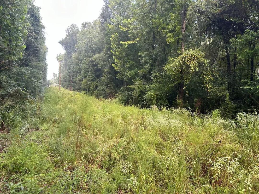 5 Wooded Acres for Sale in Clinton, LA