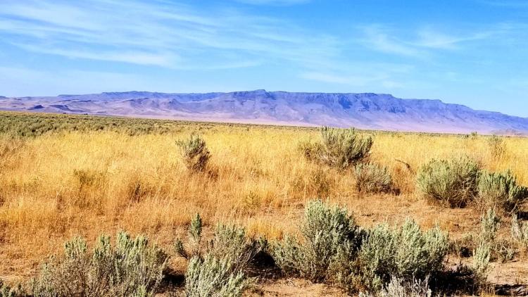 40 acres Bordering BLM lands on 1 side - Remote Nevada High Desert Land