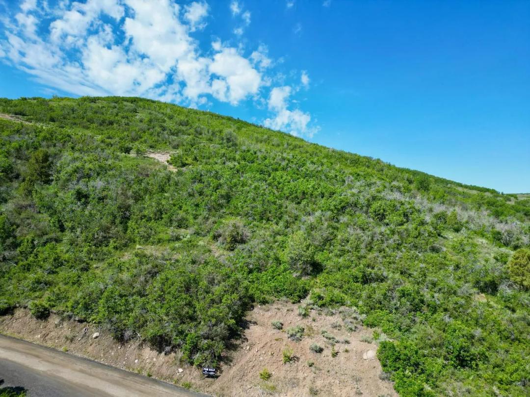 Woodland Crest 5 | Wasatch County | Utah