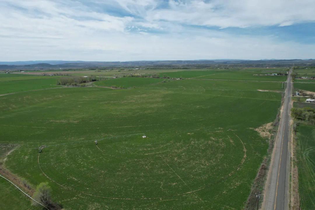 Vale Hay Farm