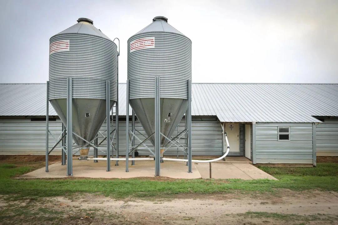39.1 Acre Poultry & Cattle Farm Bienville Parish, LA $1,270,000