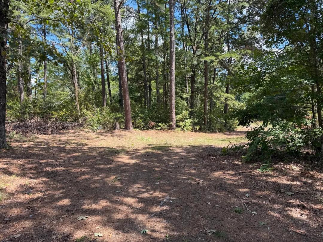 67.02 Acres at 3623 W Pine Avenue