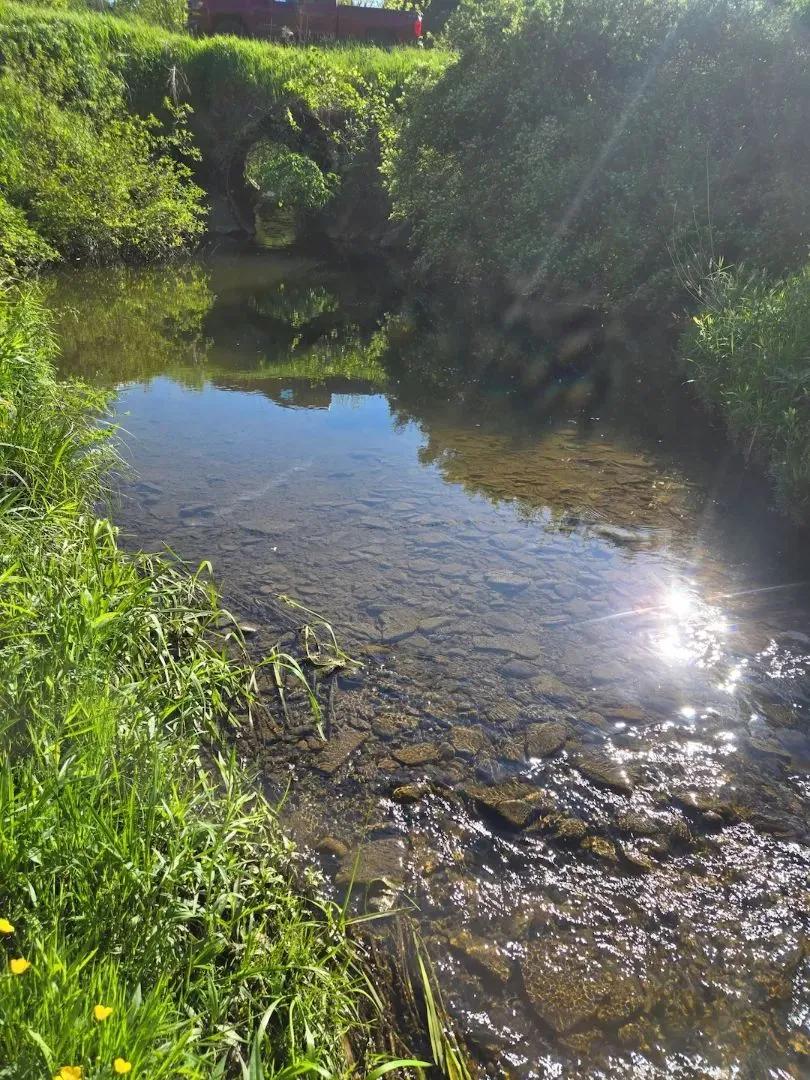53 acres Woods with Open Field and Creek in Warsaw NY Hermitage Rd